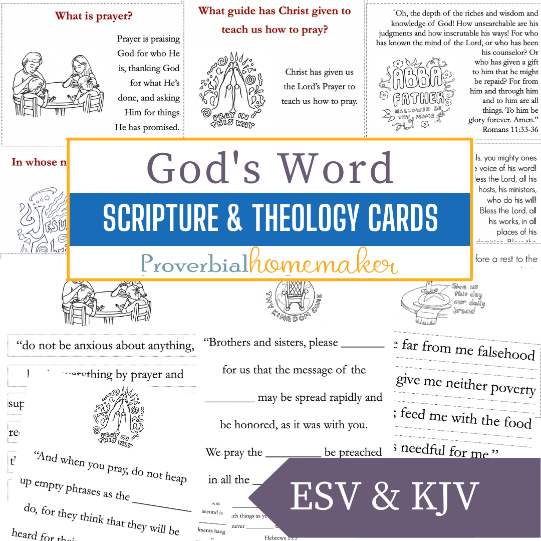 Scripture & Theology Card Bundle (ESV and KJV)