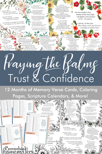 Praying the Psalms: Trust and Confidence