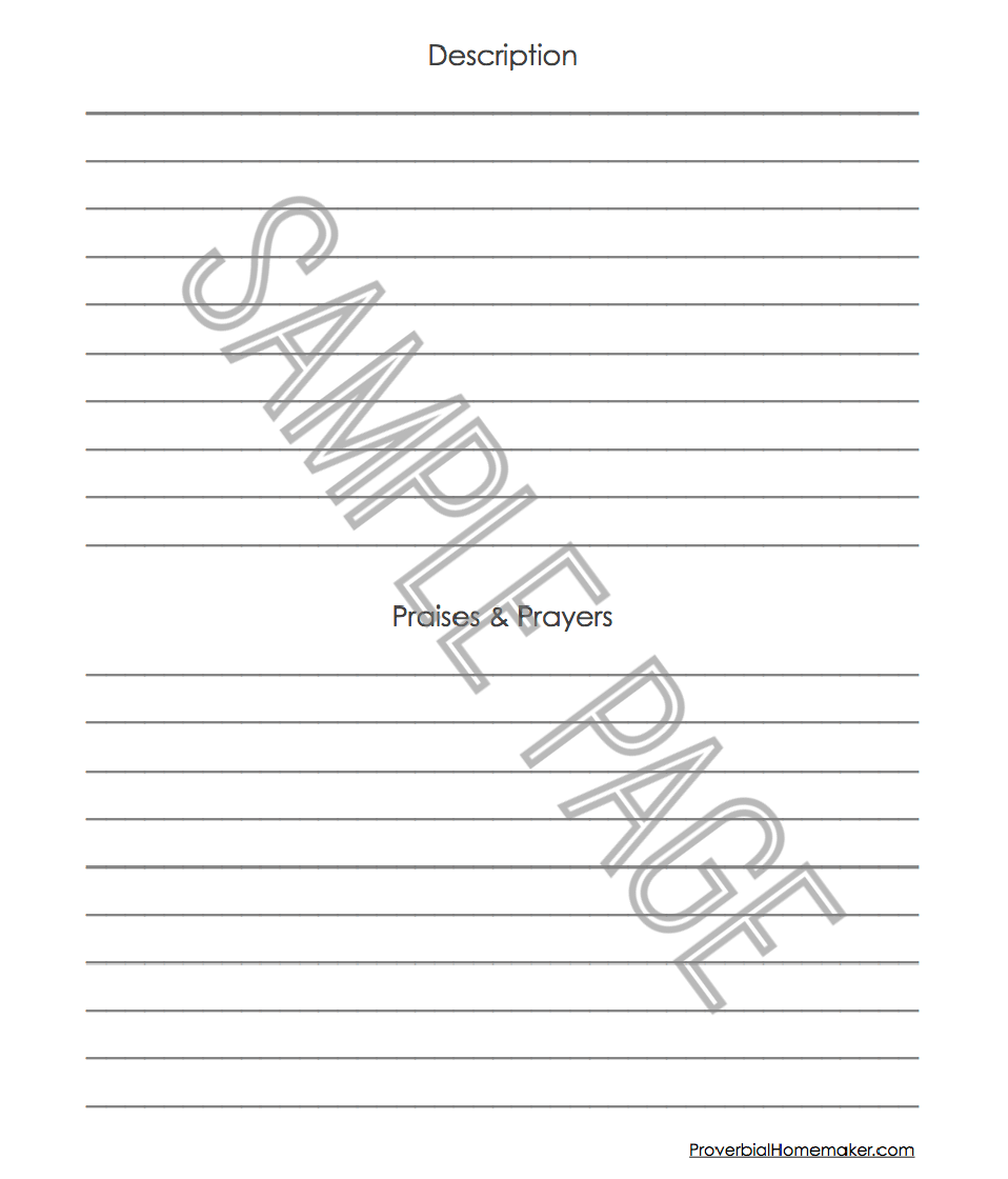 Bible Drawing Notebook (New Testament)