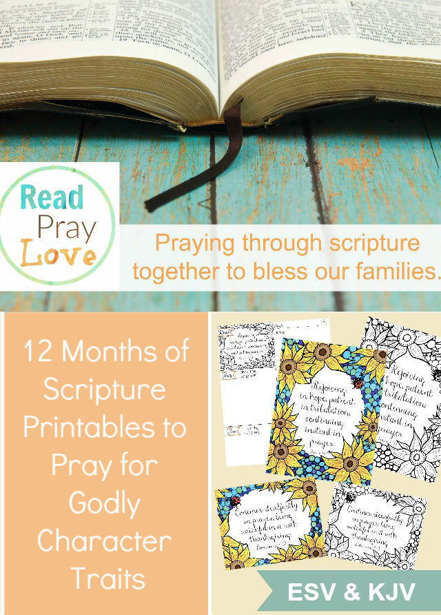 1 Year of Praying the Scripture for Character (ESV and KJV)