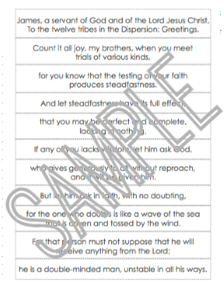 James Family Bible Study