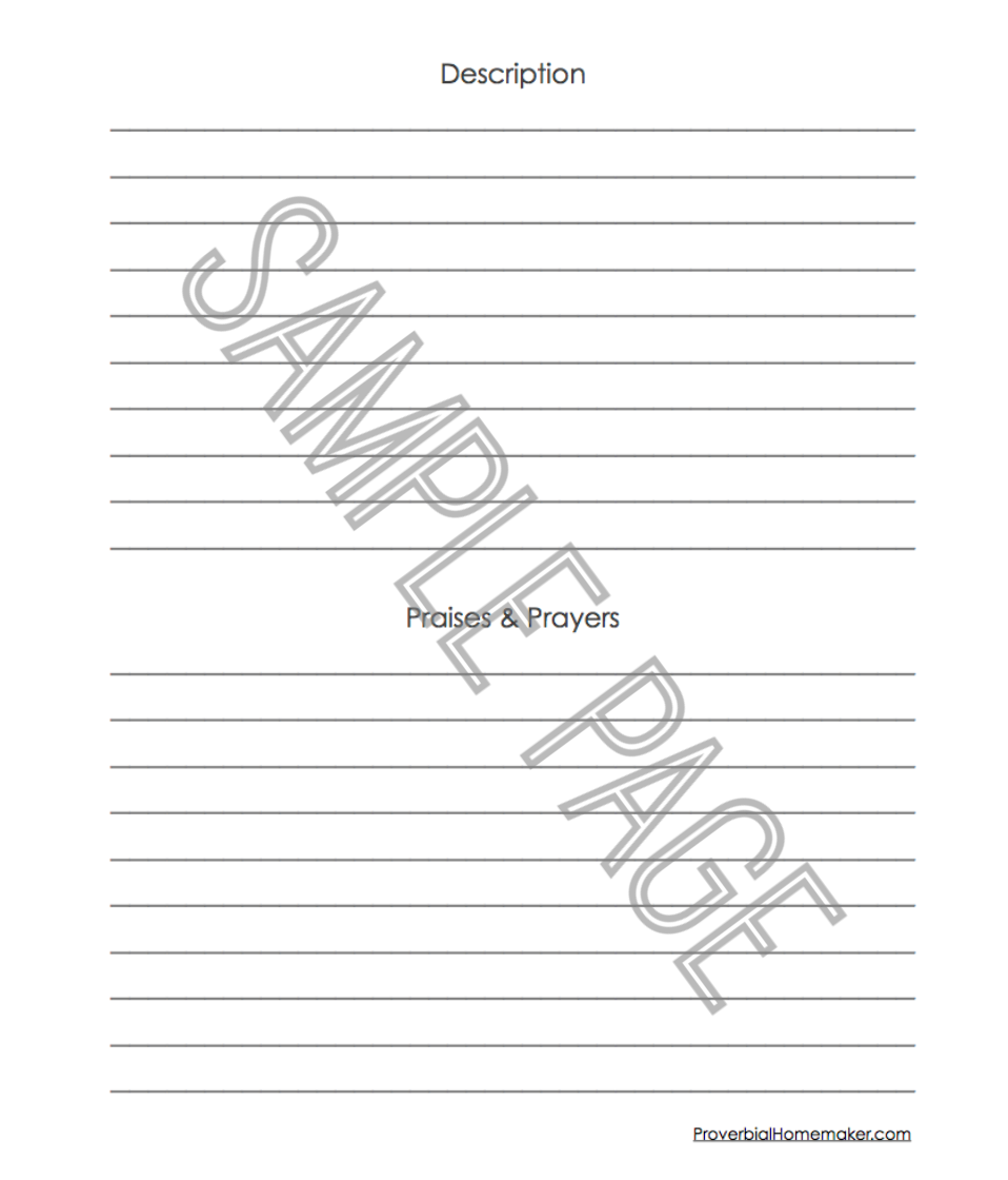 Bible Drawing Notebook (Old Testament)