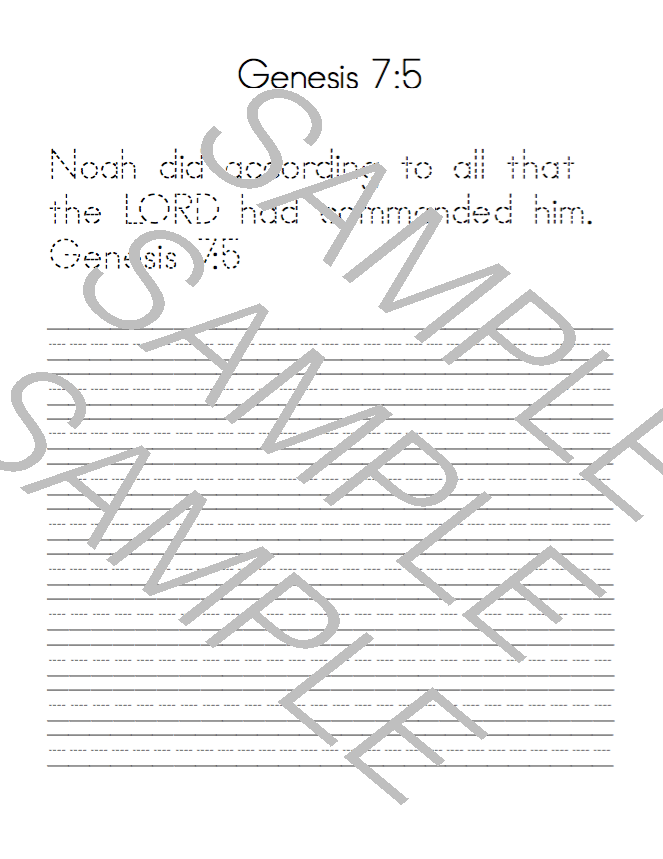 Heroes of the Bible Brick Challenge & Character Study
