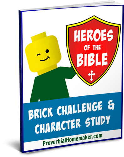 Heroes of the Bible Brick Challenge & Character Study