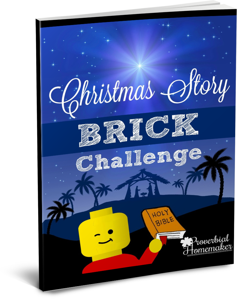 Christmas Brick Challenge & Learning Pack