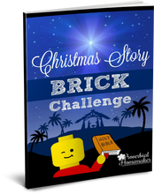 Christmas Brick Challenge & Learning Pack