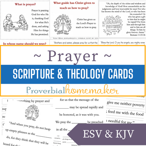 Scripture & Theology Cards: Prayer