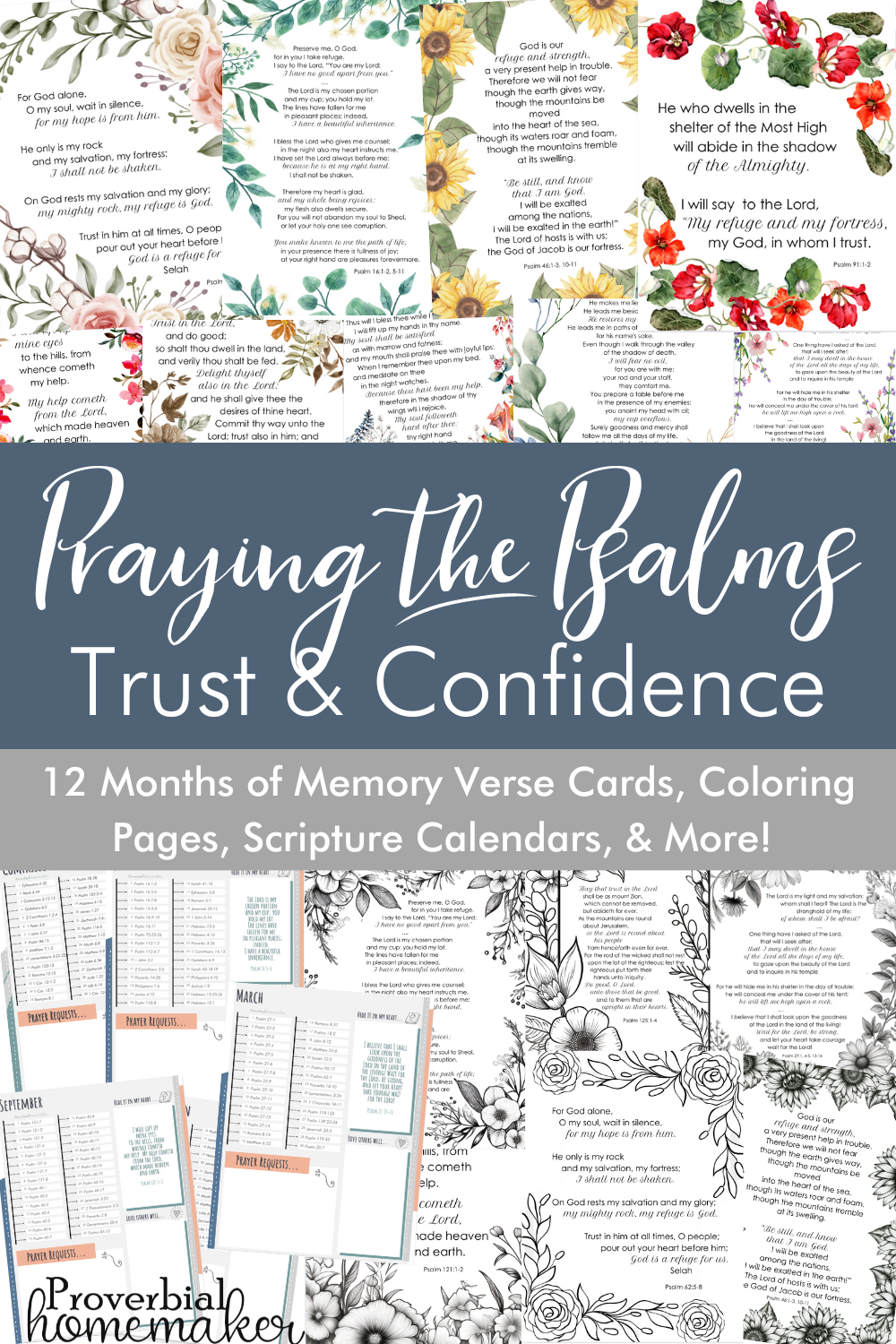 ⭐️New for 2024!⭐️ Praying the Psalms: Trust and Confidence