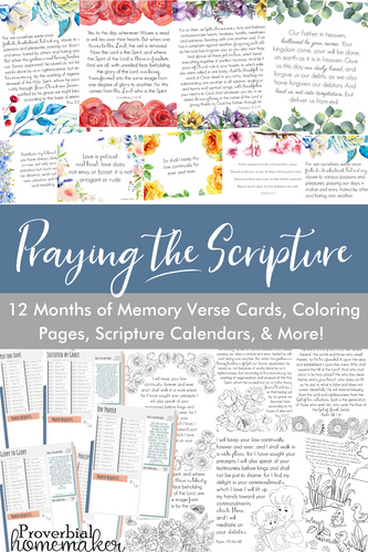 1 Year of Praying the Scripture