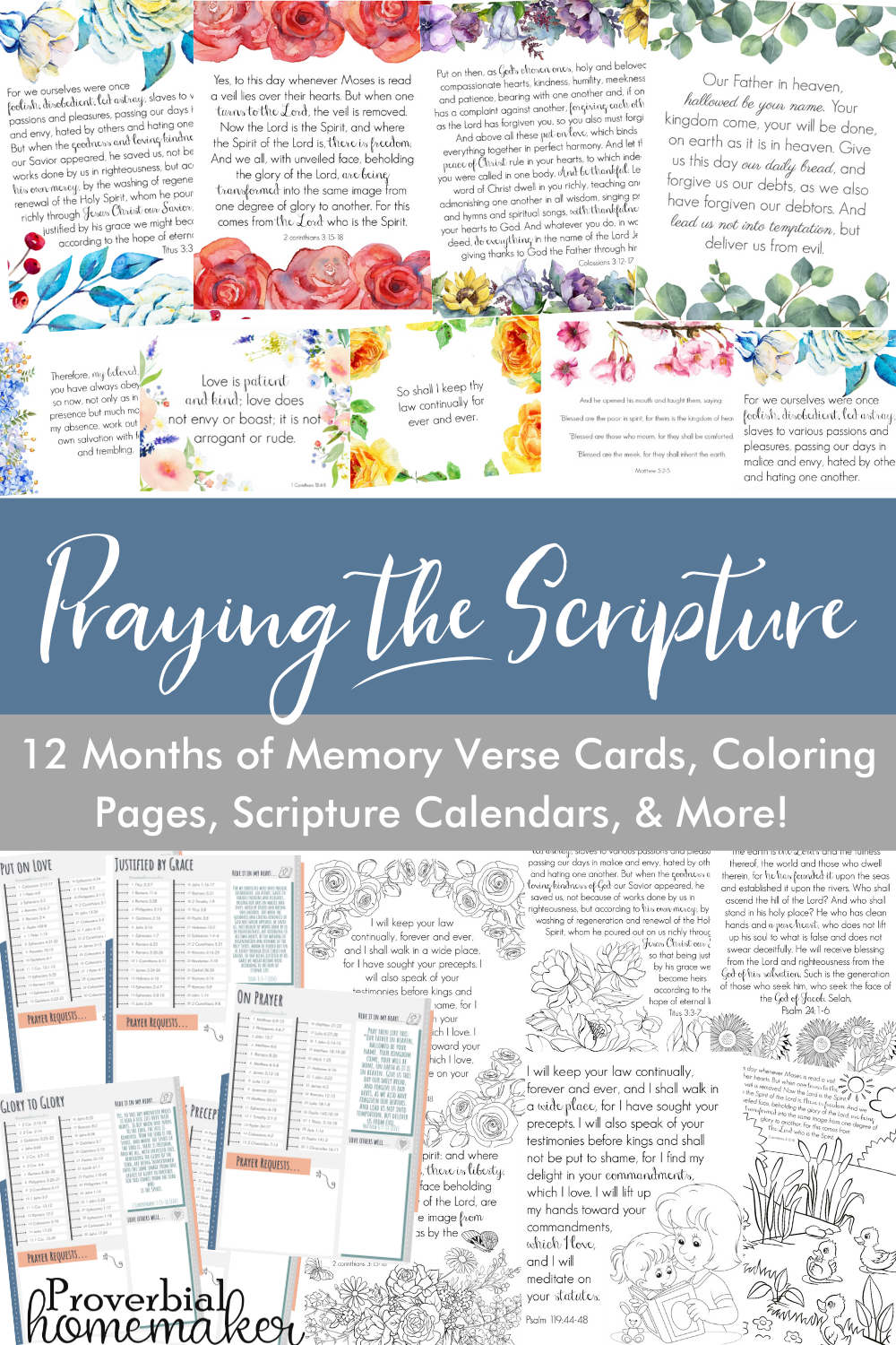 1 Year of Praying the Scripture