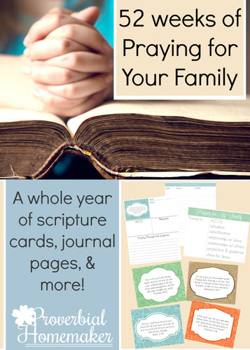 Praying for Your Family (52 Weeks of Scriptures & Journal Pages)