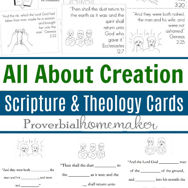 Scripture & Theology Cards: All About Creation