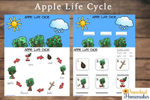 Apple Life Cycle Printable Pack