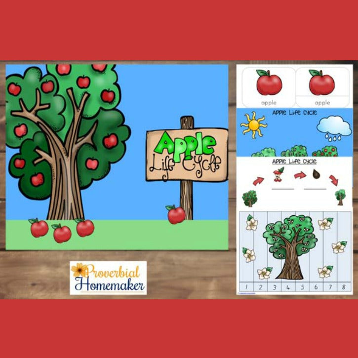 Apple Life Cycle Printable Pack