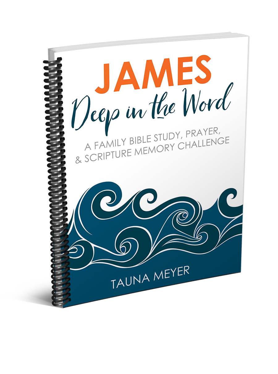 James Family Bible Study