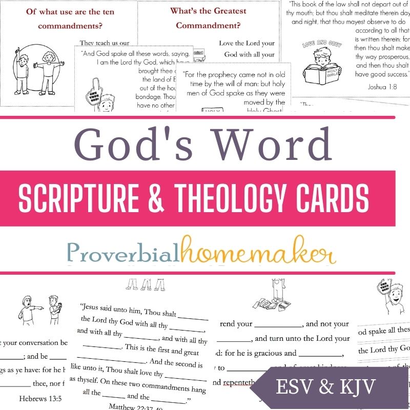 Scripture & Theology Cards: God's Word