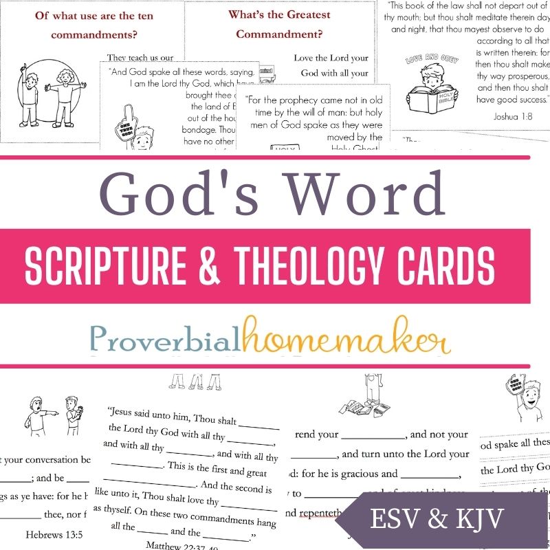 Scripture & Theology Cards: God's Word