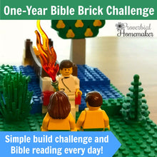 One-Year Bible Brick Challenge