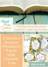 1 Year of Praying the Scripture for Character (ESV and KJV)