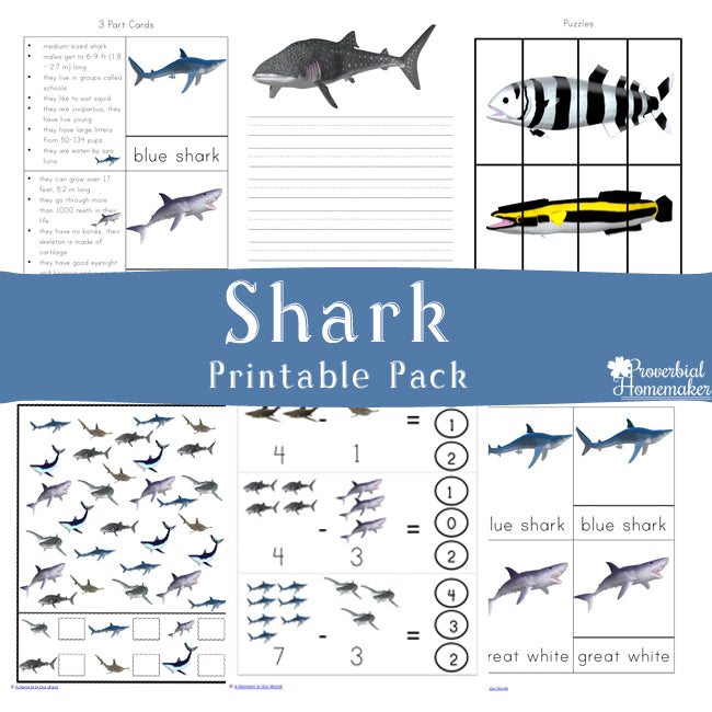 Shark Printable Pack – Proverbial Homemaker
