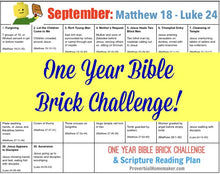 One-Year Bible Brick Challenge