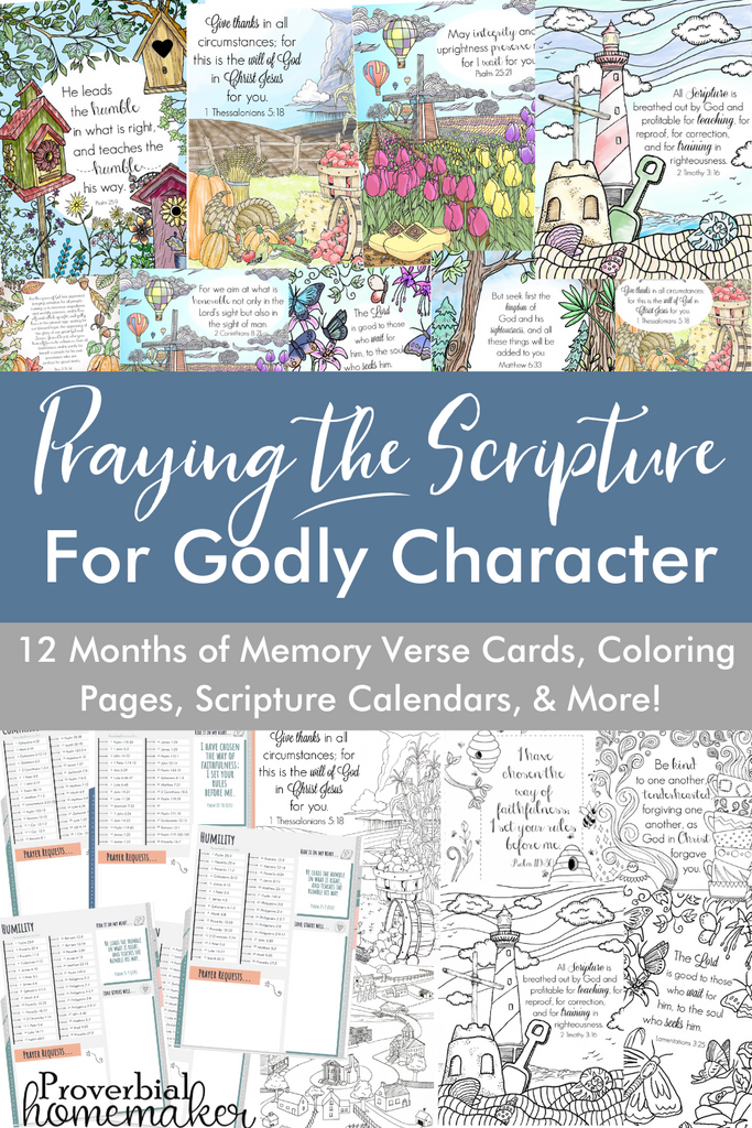 1 Year of Praying the Scripture for Character (ESV and KJV ...